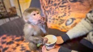 Ангелина прыгает с Сонечкой, а Люся примеряют наряды!