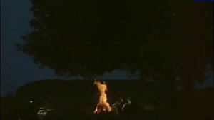 "Мой костёр" романс