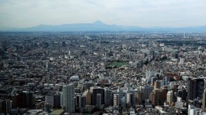 Захарова: Россия будет учитывать недружественные заявления Японии