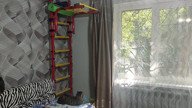 Пойман на горячем смотреть онлайн