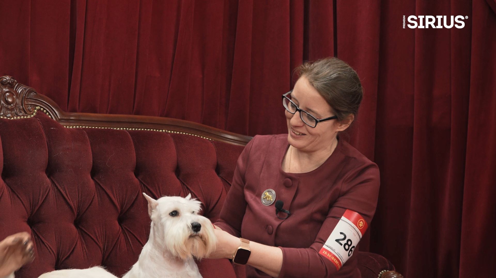 Секреты лидеров. ЛУЧШИЕ СОБАКИ РОССИИ. # 10