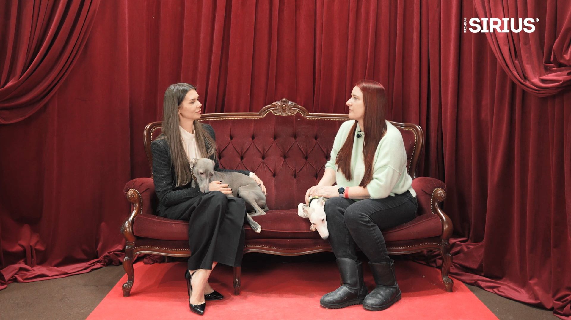 Секреты лидеров. ЛУЧШИЕ СОБАКИ РОССИИ. # 9