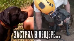 Несчастный пёс застрял в пещере — спасли в последний момент...