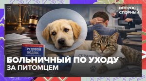 В России могут ввести больничный по уходу за домашним животным | Вопрос спорный — Москва 24