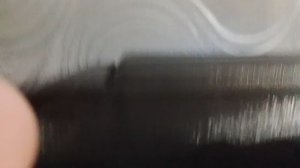 мы выгуливаем черепах потому что у них испортился черепашник