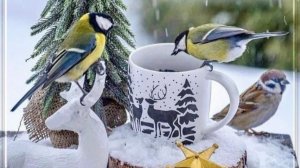 Мы пенсионеры , но скучать нам некогда.