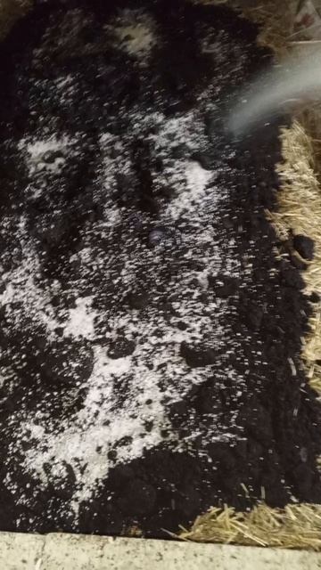 компост для Шампиньон своими руками смотреть онлайн