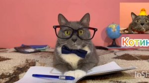 Бумажнутый эфир телеканала котинет