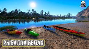 🔴 РР4/ рыбалка для души, ловим как универсал, общаемся 30.01.2026