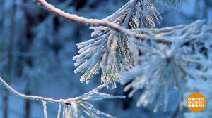 О чем поет снег. Доброе утро. Фрагмент выпуска от 30.01.2026
