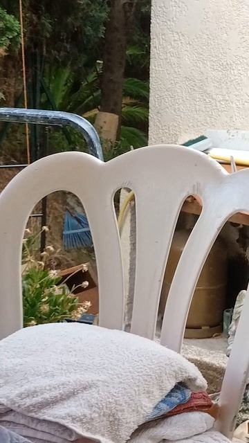 Утащила пакетик чая и довольная))))) смотреть онлайн