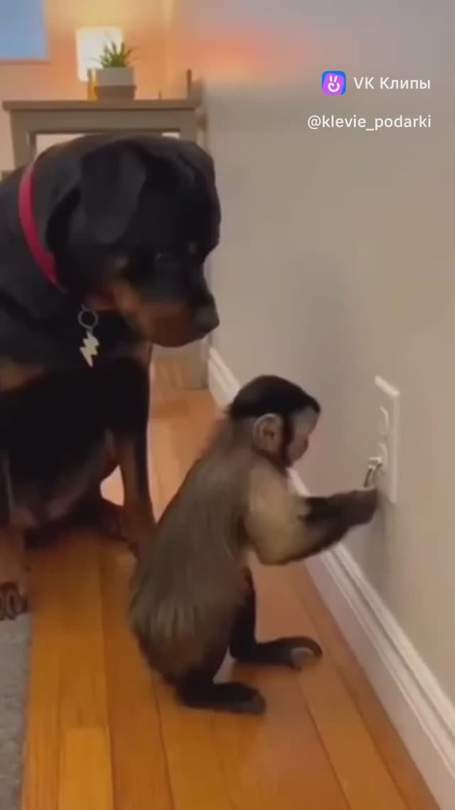 Без проблем 😆 Я Электрик 👨🏭🤣 смотреть онлайн