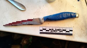 Жительница Хабаровского края убила приятеля за ухаживания