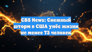 Число погибших от последствий снежной бури выросло до 73 в США