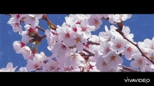 Жизнь моя.Слова Эльвины Оленевой.Музыка Эрика Мухаметгалина