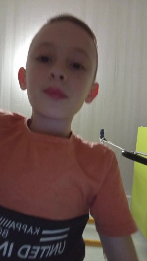 Garden Если получится