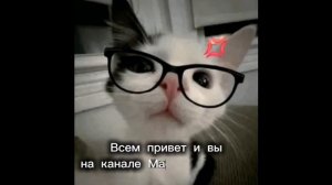 Знакомство с каналом Маффки Лаффки