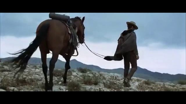 Carpenters - Desperado смотреть онлайн