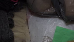 КОРОЛЕВСТВО ТАРАКАНОВ