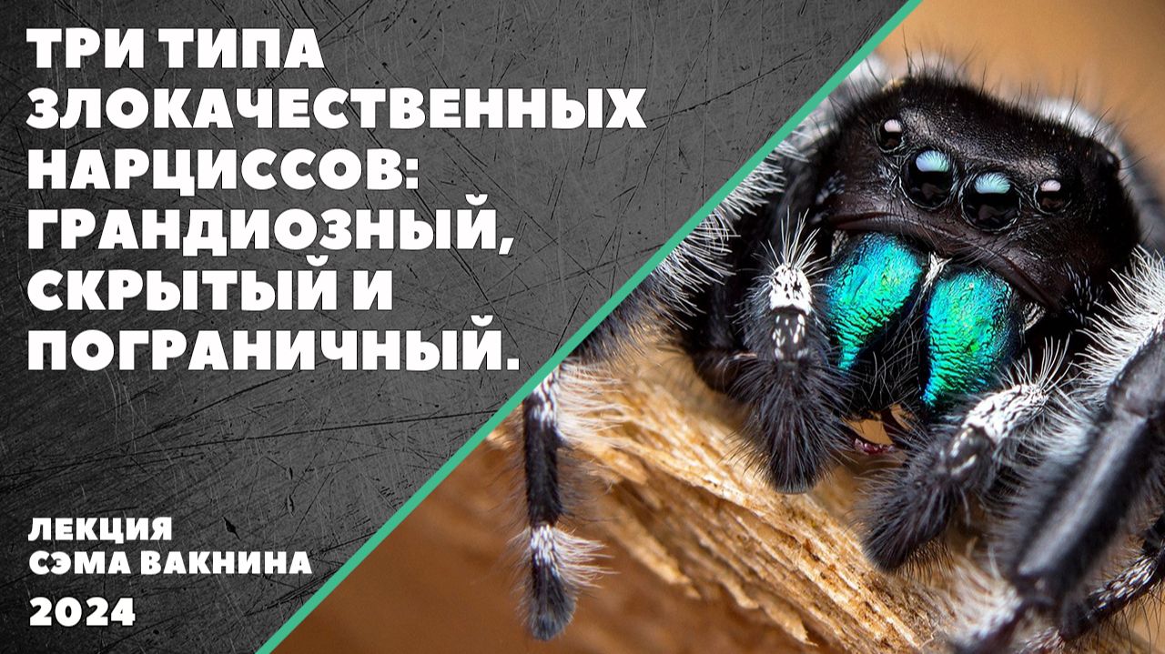 ТРИ ТИПА ЗЛОКАЧЕСТВЕННЫХ НАРЦИССОВ: ГРАНДИОЗНЫЙ, СКРЫТЫЙ И ПОГРАНИЧНЫЙ.