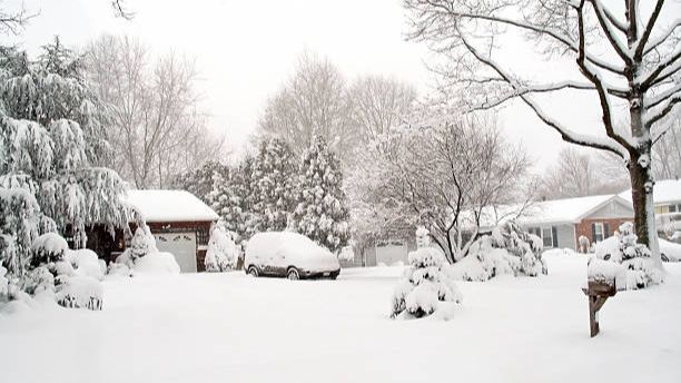 Наш заснеженный двор смотреть онлайн