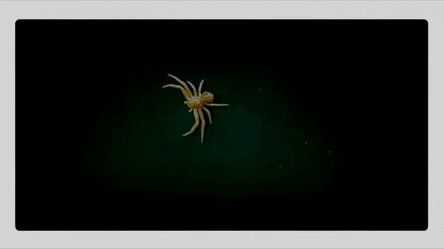 Nilotpala - Лесной народ смотреть онлайн