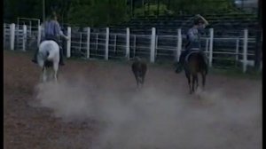 Скрипач Игорь Пехов. Кантри музыка.