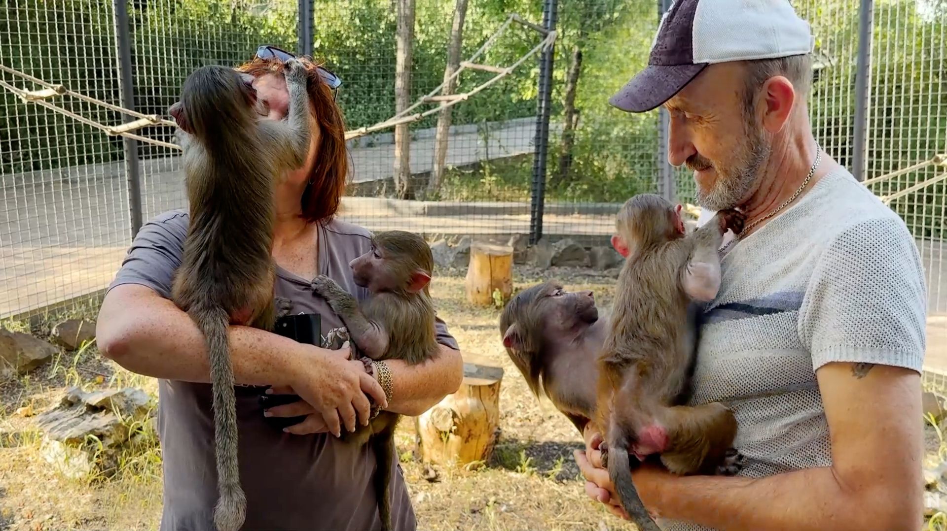 "Я так даже маму не целовал"! Татьяна и Влад со Степой и Маней - как снять носух с крыши вольера? смотреть онлайн