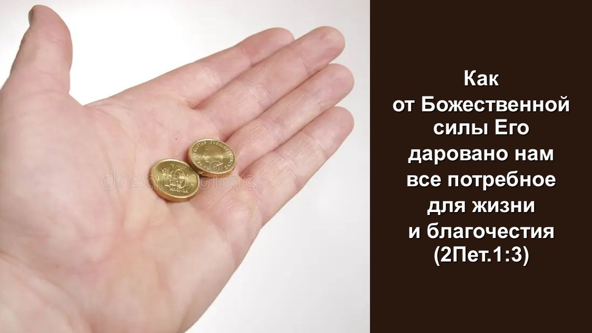 От Божественной силы Его даровано нам все потребное для жизни и благочестия... 2Пет.1:3