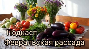 Подкаст. Февральская рассада.