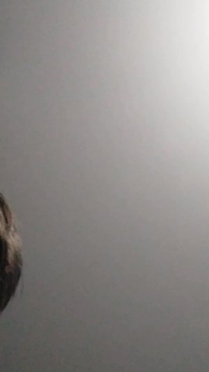 Меня взломали