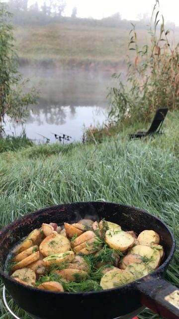 картошка и лягушки смотреть онлайн