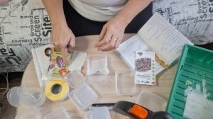 замачиваю семена перца и баклажаны