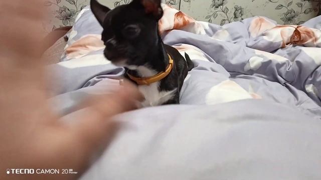 Чих попробовал чуток пи смотреть онлайн