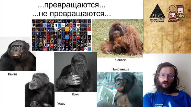 Станислав Дробышевский: Почему обезьяны не превращаются в людей (№6) смотреть онлайн