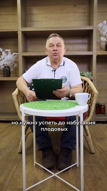 Обрезать Нельзя Ждать! Где поставить запятую зимой? Ответы на вопросы зрителей