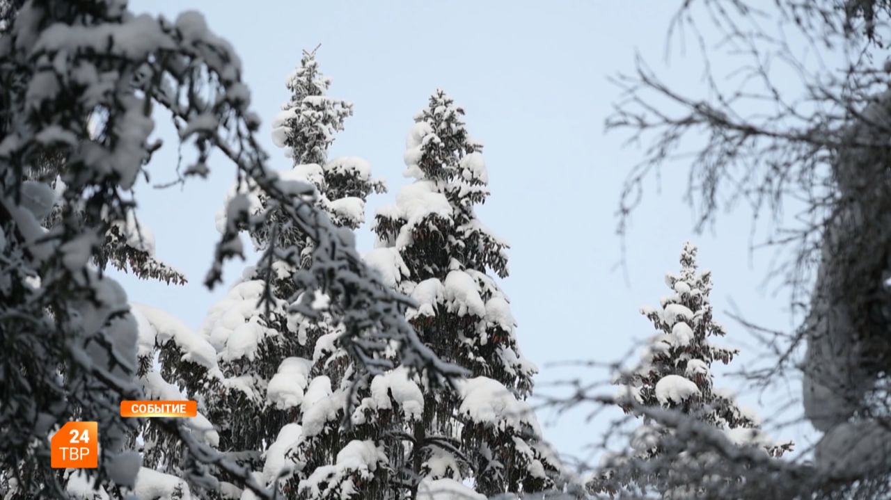 Округ накроют морозы смотреть онлайн