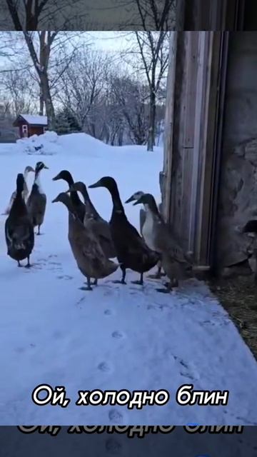 Ой холодно блин!