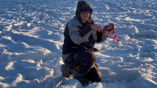 Поимка форели на икру смотреть онлайн