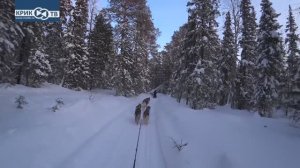 "МЫ ЗДЕСЬ БЫЛИ" Путешествие на собачьих упряжках на "Перевал Дятлова" Часть 2.