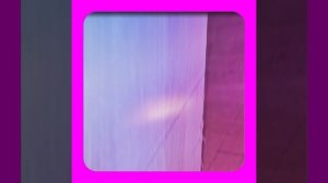 1000047366.mp4 (Собака наблюдает за устройством лестницы на 2 этаж в доме А-фрейм)