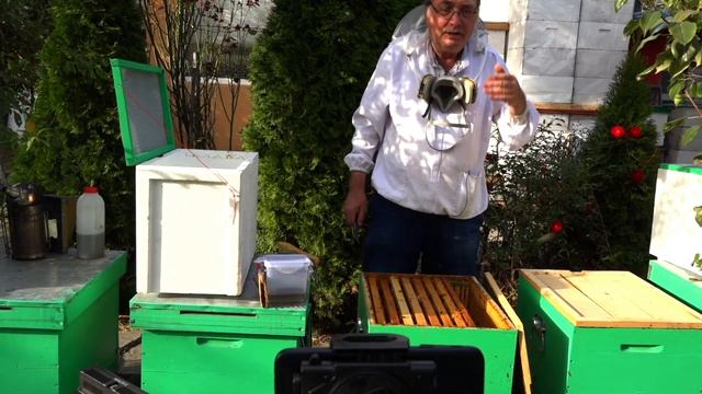 Как выполнять метод прямого нанесения муравьиной кислоты на печатный расплод? (Адриан Сичану) смотреть онлайн