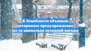 В Ленобласти объявили штормовое предупреждение из-за аномально холодной погоды