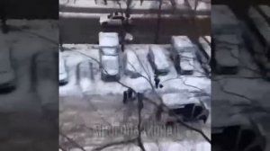 Люберцы. Как мигранты на самом деле чистят снег