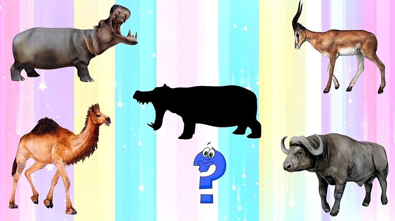 Викторина для детей 3-5 лет Дикие животные смотреть онлайн