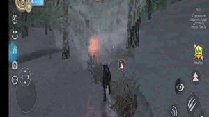 типо прокачки тигрицы в вилдике