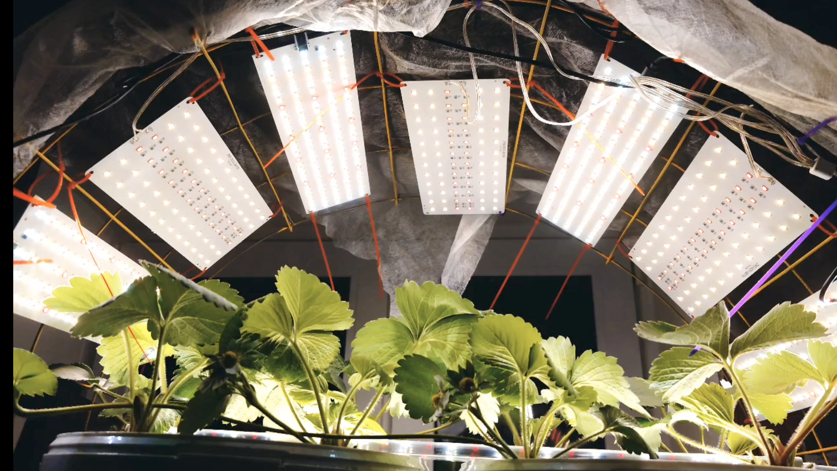 ЛАМПЫ ДЛЯ РАССАДЫ И ПОДСВЕТКИ ДОМАШНИХ ЦВЕТОВ ЗИМОЙ НА ПОДОКОННИКЕ