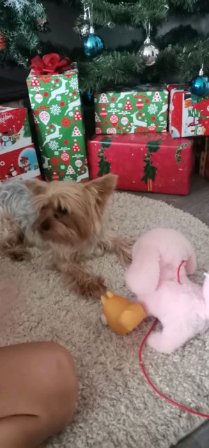 Растование