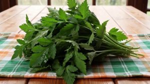 ЗЕЛЕНЬ В КУЛИНАРИИ