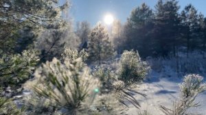 Зимняя сказка